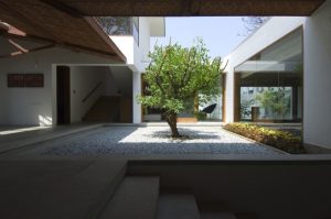 1-Central-tree-and-pebble-Courtyard